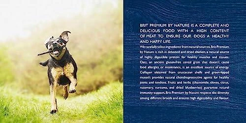 BRIT Premium by Nature vištiena Small Junior - sausas šunų maistas - 3kg