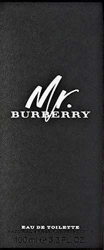 Burberry Mr. Burberry EDT tualetinis vanduo vyrams, 100 ml
