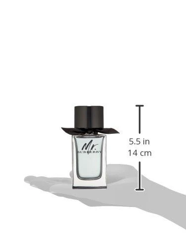 Burberry Mr. Burberry EDT tualetinis vanduo vyrams, 100 ml