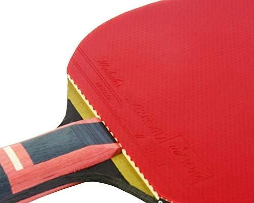 raketė ir stalo tenisas Butterfly Zhang Jike
