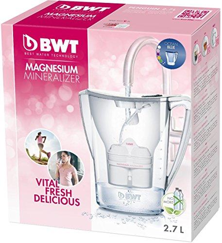 BWT Vandens filtravimo ąsotis Penguin (tamsiai mėlynas) 2.7L 8702 