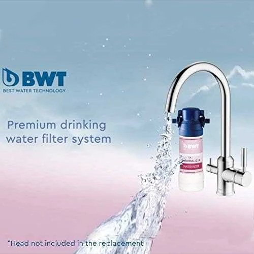 BWT bestmax PRO S filtrai