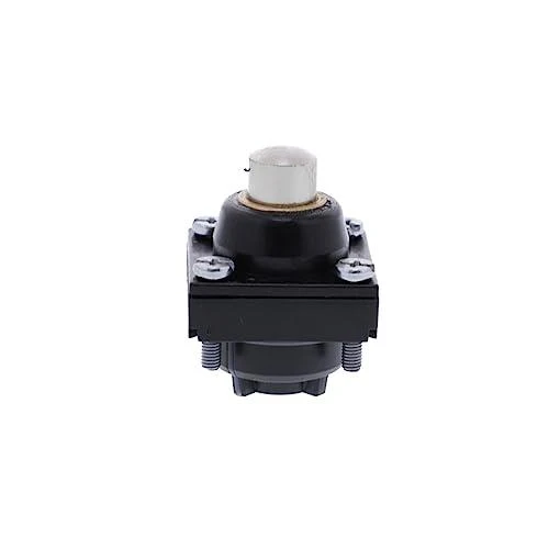Telemecanique Sensors Schneider Electric Drive galvutės plieno stūmiklis (ZCKD10)