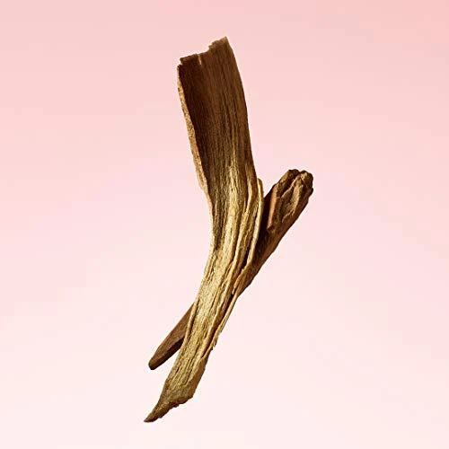 Kvepalai moterims Calvin Klein Women EDP, 50 ml