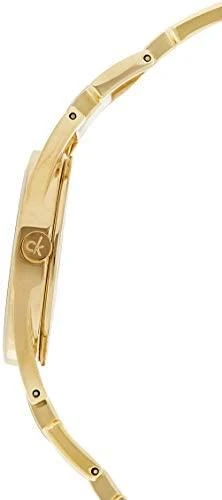 Laikrodis Calvin Klein Watches CK LADIES K7L23546