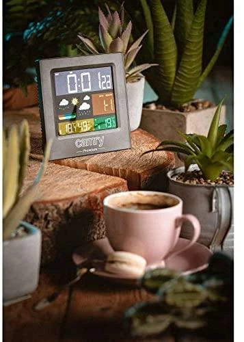 Meteo stotelė Camry CR-1166