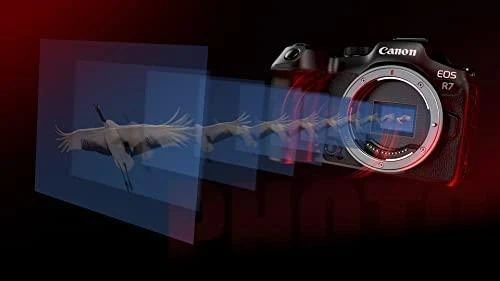 Canon EOS R7 korpusas