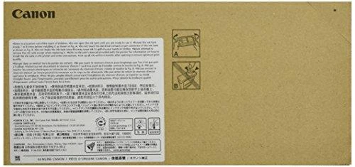 Canon PFI-1700B Originalus Mėlyna