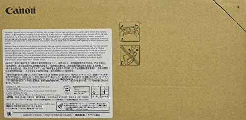 Canon PFI-1700GY Originalus Pilka