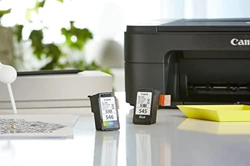 CANON 1LB PG-545 / CL-546 rašalo kasetė juodas ir spalva standartinė talpa bk: 180p cl: 180p 2 pakuočių lizdinė plokštelė be signalizacijos