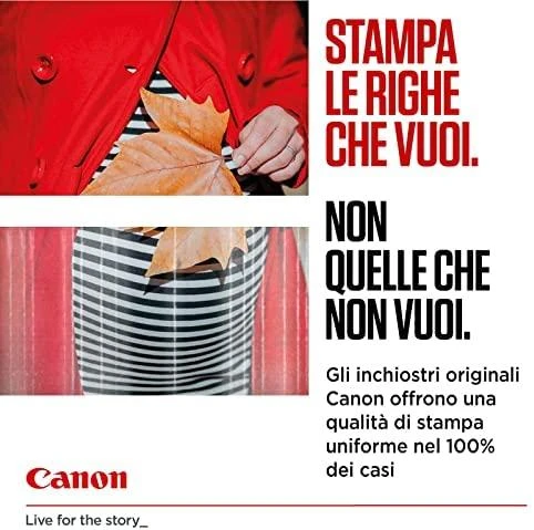 CANON 1LB PG-545 / CL-546 rašalo kasetė juodas ir spalva standartinė talpa bk: 180p cl: 180p 2 pakuočių lizdinė plokštelė be signalizacijos