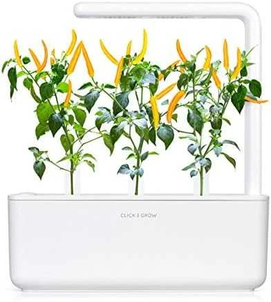 Click & Grow sėklos išmaniajam vazonui - Čili pipirai, 3vnt.