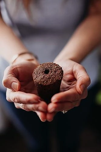 Click & Grow sėklos išmaniajam vazonui - Čili pipirai, 3vnt.