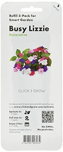 Click and Grow 3 vnt. papildymas - rozmarinų sėklos