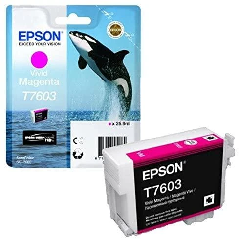 Epson T7603 | Rašalo kasetė | Magenta