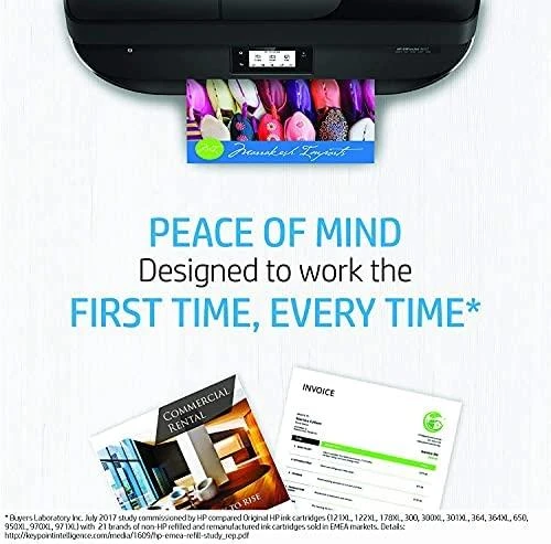Hewlett Packard (HP) HP 650 Juodas Original Ink Advantage Cartridge