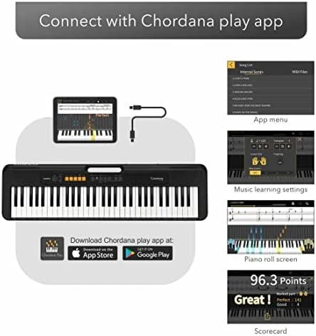 Sintezatorius Casio CT-S100 su akompan.
