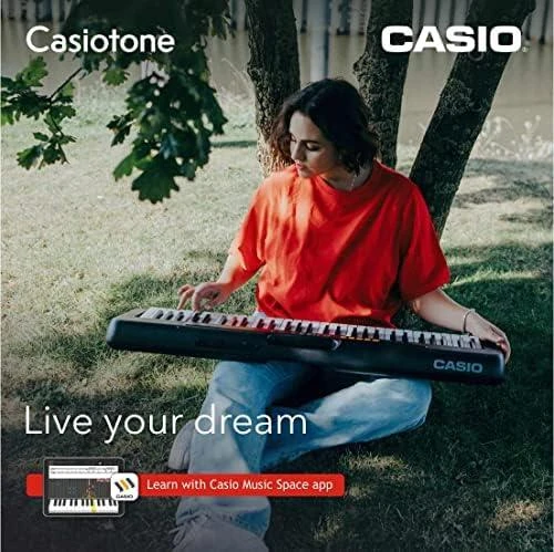 Sintezatorius Casio CT-S100 su akompan.