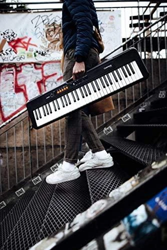 Sintezatorius Casio CT-S100 su akompan.