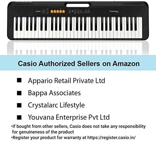 Sintezatorius Casio CT-S100 su akompan.
