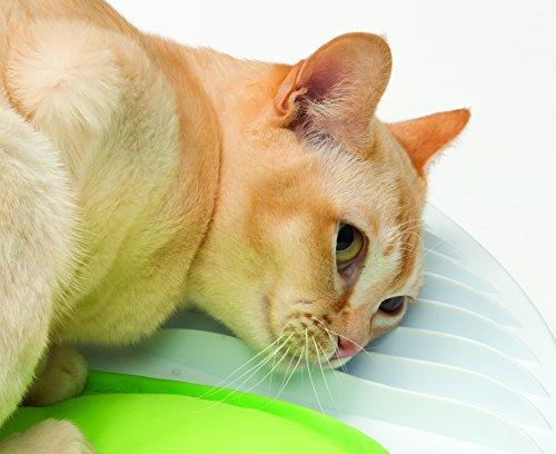 Hagen Cat Catit sveikatingumo centro masažo salonas