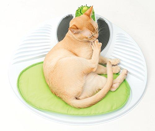 Hagen Cat Catit sveikatingumo centro masažo salonas