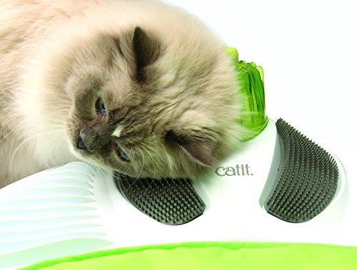 Hagen Cat Catit sveikatingumo centro masažo salonas