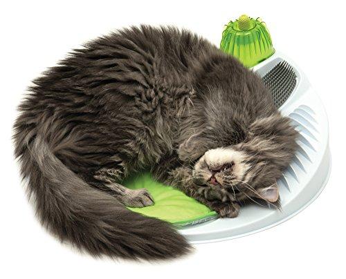 Hagen Cat Catit sveikatingumo centro masažo salonas