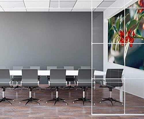 „Celexon Rollo Professional“ drobė, 200 x 200 cm