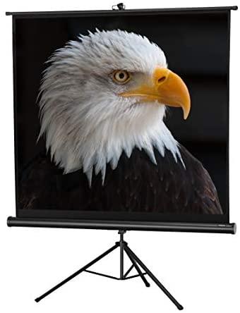 Celexon 1090016 Projektoriaus ekranas - projection screens (Juodas, Baltas, Juodas)