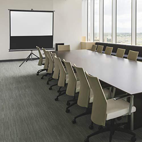 Celexon 1090016 Projektoriaus ekranas - projection screens (Juodas, Baltas, Juodas)