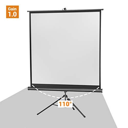 Celexon 1090016 Projektoriaus ekranas - projection screens (Juodas, Baltas, Juodas)