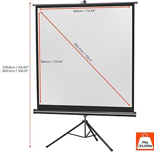 Celexon 1090016 Projektoriaus ekranas - projection screens (Juodas, Baltas, Juodas)