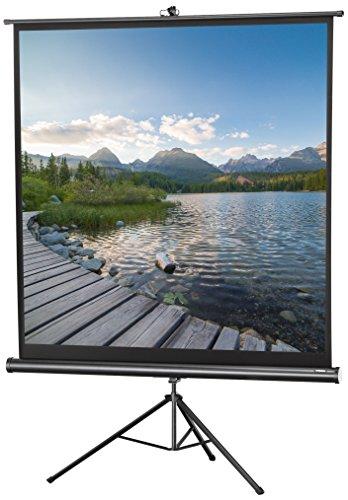 Celexon 1090016 Projektoriaus ekranas - projection screens (Juodas, Baltas, Juodas)