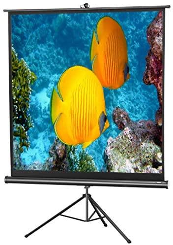 Celexon 1090016 Projektoriaus ekranas - projection screens (Juodas, Baltas, Juodas)
