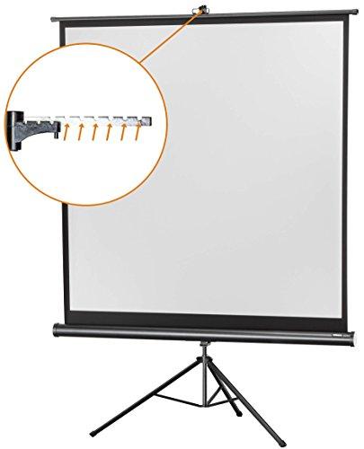 Celexon 1090016 Projektoriaus ekranas - projection screens (Juodas, Baltas, Juodas)