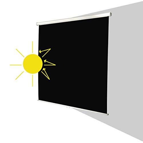 Celexon Europe celexon 1090028 - Manual - 120 cm - 120 cm - 1:1 - Baltas
