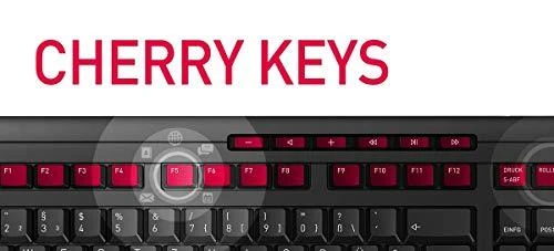 CHERRY DW 3000 klaviatūra Radijo dažnio belaidė QWERTY Anglų (JAV) Juoda