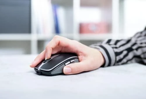 Įvesties Prietaisas - Cherry MW 9100 Bluetooth pelė 2.4GHz Įkraunama