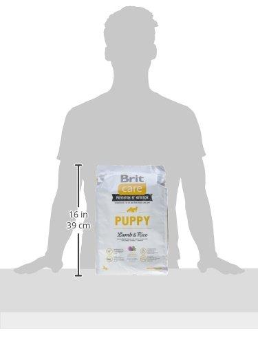 BRIT CARE Dog Puppy su ėriena ir ryžiais 3kg