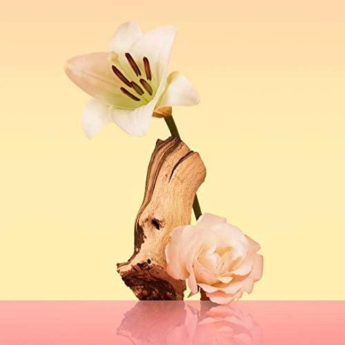 Calvin Klein Eternity EDP parfumuotas vanduo moterims, 50 ml