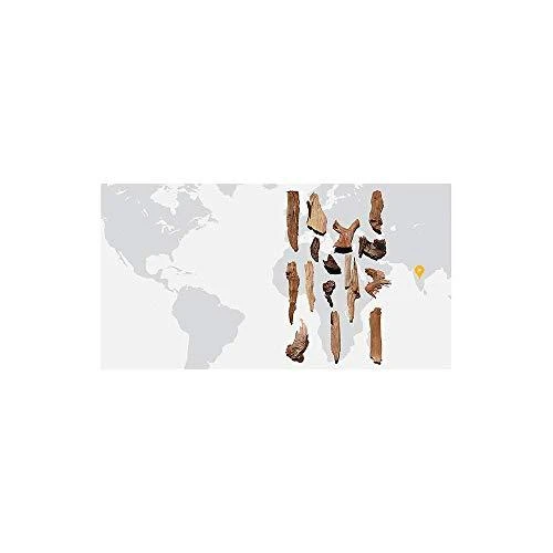 Clarins veido priežiūros aliejus Santal veido aliejus moterims, 30 ml