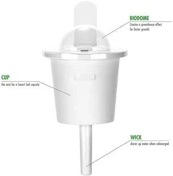 Click and Grow Smart Garden 3 vnt. papildymas - paprikų sėklos