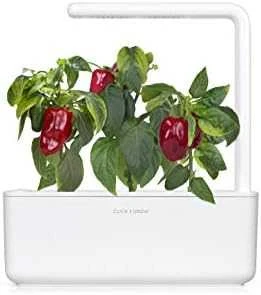 Click and Grow Smart Garden 3 vnt. papildymas - paprikų sėklos