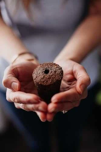 Click and Grow Smart Garden 3 vnt. papildymas - petražolių sėklos