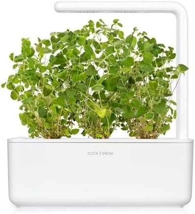 Click and Grow - "Smart Garden" 3 vnt. papildymas - raudonėlio sėklos