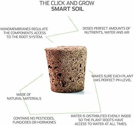 Click & Grow sėklos išmaniajam vazonui - Valgomoji rūgštynė (SGR55x3) 3vnt.