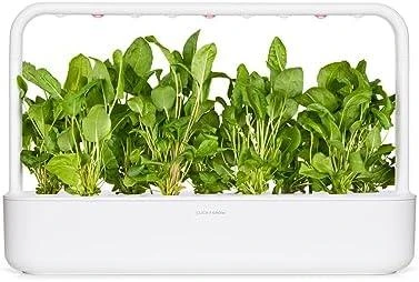 Click & Grow sėklos išmaniajam vazonui - Valgomoji rūgštynė (SGR55x3) 3vnt.