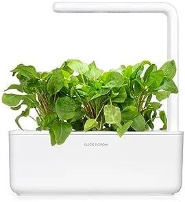 Click & Grow sėklos išmaniajam vazonui - Valgomoji rūgštynė (SGR55x3) 3vnt.