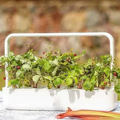 Click&Grow Vaisių ir daržovių mišinys 9 vnt.